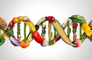 Protein-Rich Foods for Everyday Wellness